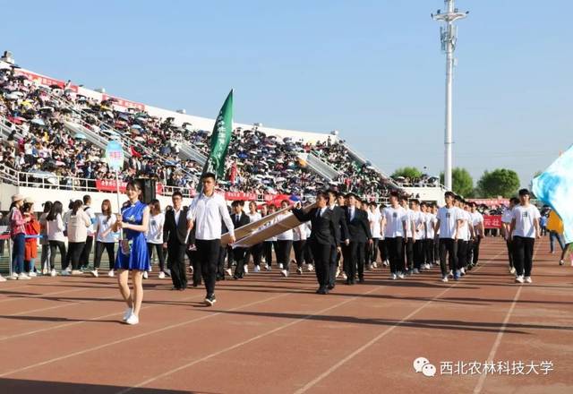 米兰体育app-包含青年足球骄子对抗，青春风华无限魅力的词条