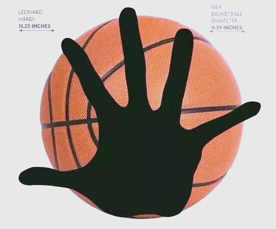 米兰体育平台-猛龙击败雄鹿，逆转取胜