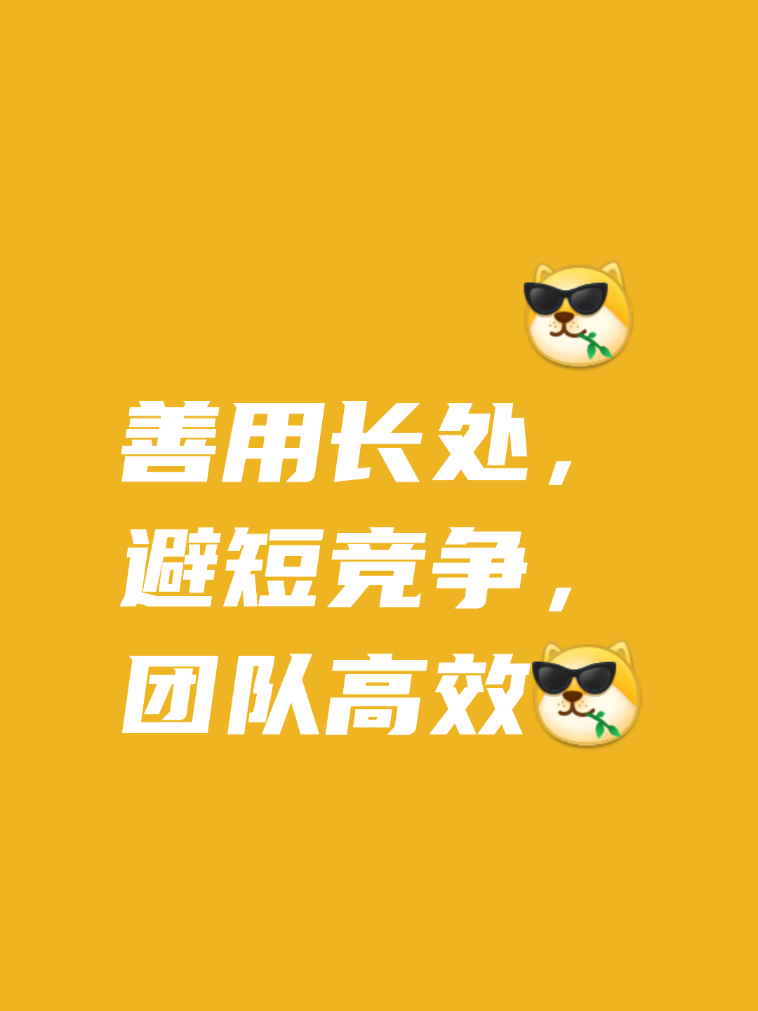 强强对话！精彩对决让人过耳不忘的简单介绍